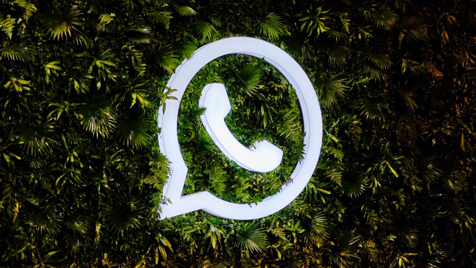 Application of Number Filtering Strategies in Signal Digital Marketing 