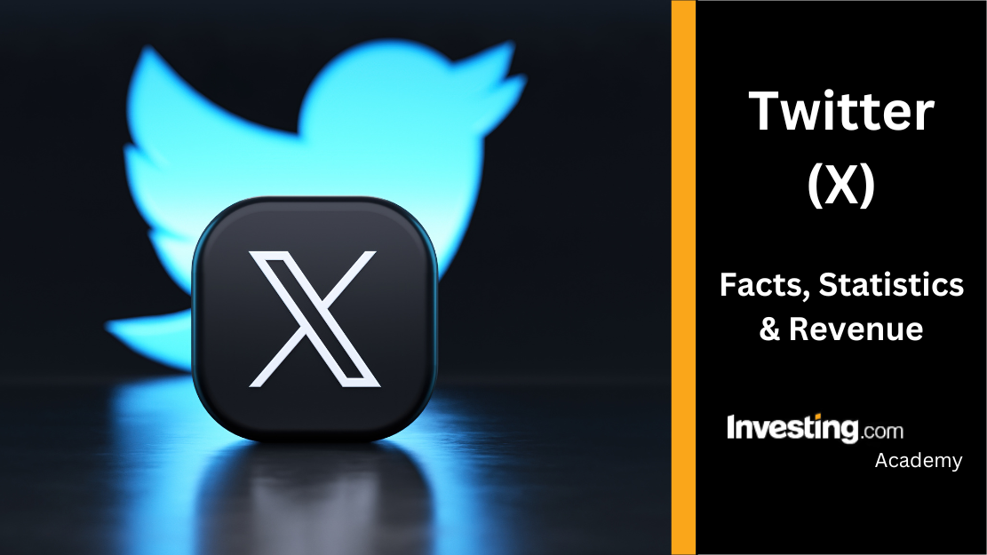 如何在中国使用Twitter？访问问题的解决方案